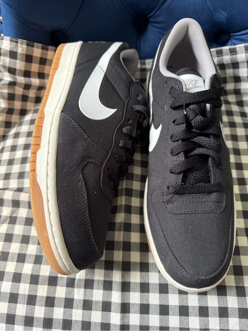 Big Nike Low Lux new no Tag or box never worn 8.5 Men 10 Women